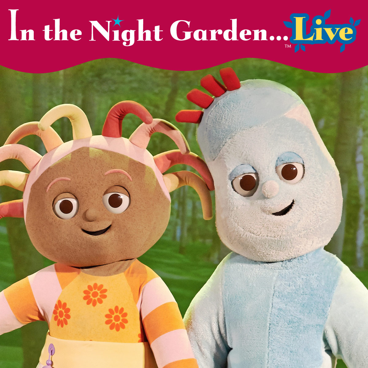 in-the-night-garden-blog